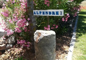 Monte do Afonso