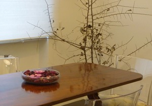 Monteleone Suite Apartment