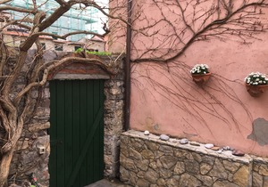 Montemarcello View