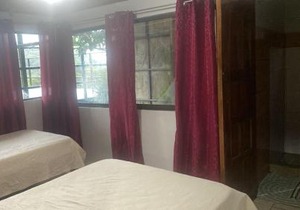 Monteverde Monkey Hostel