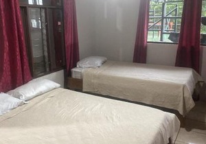 Monteverde Monkey Hostel