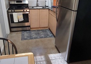 Monthly-Weekly Disc: Large 1BR, Walk to Ave & Beach, Beautiful, Salt Pool