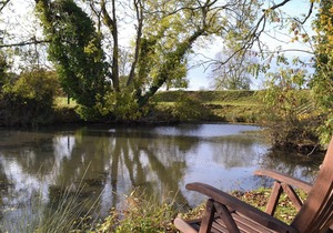 Moor Farm Cottage - UKC3734