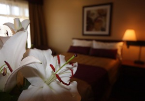 Motel Adam