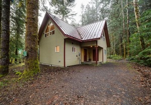 Mt. Baker Rim Cabin #50 - Hot Tub - Pets Ok - Wi-Fi - Sleeps 8