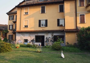 Muffin house with garden