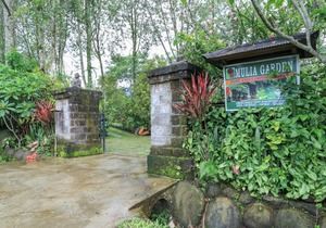 Mulia Garden Bungalows