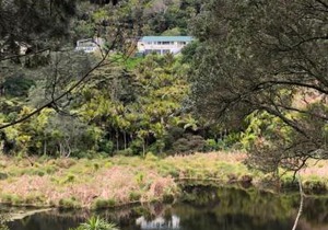 Muriwai Lodge