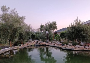 Nafplio Lodge. Tiny villa 4