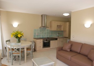 Neat apartment with dishwasher
