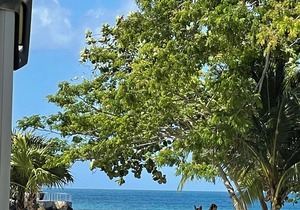 Negril Jamaica Beachfront house in Little Bay County Club , Pool , Free wifi A/C