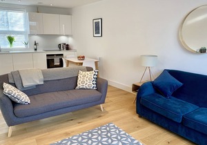 NEW 1 bed flat in Borough balcony and shard view