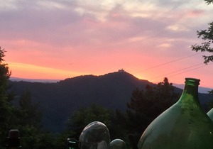 (NEW) Apartment (F) with swimming pool, jacuzzi and tennis court in Tuscany