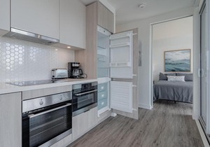 New Condo in Downtown Toronto with CN Tower View