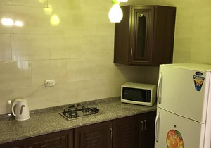 New Cozy and Fully Furnished 1BR