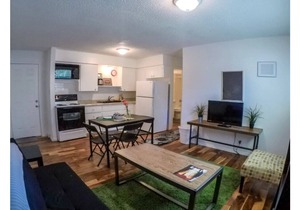 New Listing! Thrifty & Functional 2 BD near AUS and downtown