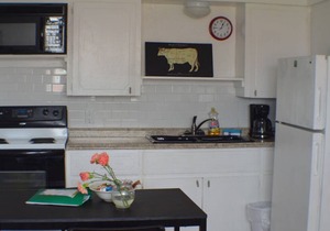 New Listing! Thrifty & Functional 2 BD near AUS and downtown