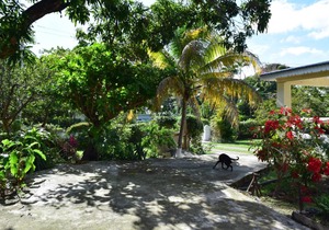 New modern first floor apartment, Norbrook