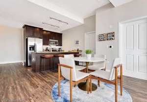 New! Spacious 3BR Apartment near McCormick Place