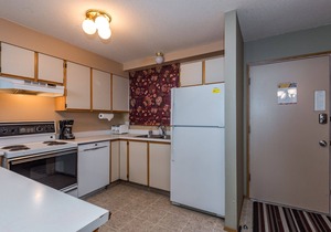 Newly renovated condo in Pinnacles - BBQ, hot tub, laundry, ski-in/out from door