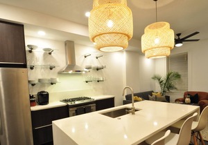Newly renovated Tower Grove 2 bedroom, 2 bathroom apartment