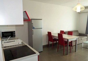 Nice apartment for 4 guests with A/C, TV, terrace, pets allowed and parking