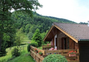 Nice chalet with dishwasher, in the High Vosges