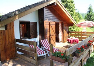 Nice chalet with dishwasher, in the High Vosges