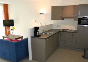 Nice house only 9 km from van Slagharen