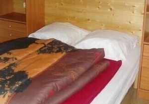 Nice little chalet at the foot of the Ballon d'Alsace close to all shops