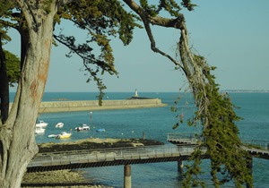Nice Studio by the Sea - Historic Center