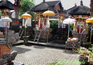 Nick's Homestay