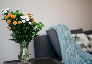 Nocosfera Apartament Serbinów