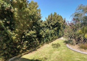Numurkah Self Contained Apartments - The Saxton