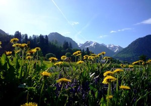 Oberstdorfer Bergwelt 218