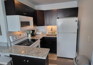 Ocean Condo Retreat 172