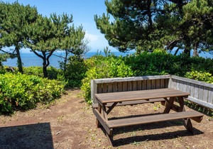 Ocean Front! Hot Tub! Dog Friendly!