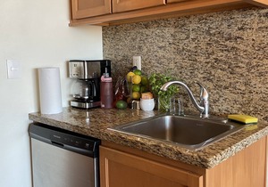 Ocean view 1King Bedroom/2BA, kitchen, private balcony, sofa bed, beachfront