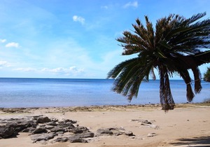 Ocean view Cottage Twin room Non / Ishigaki Okinawa