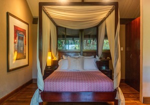 Ocean view luxury property with pool in the jungle at 300 m from the beach.