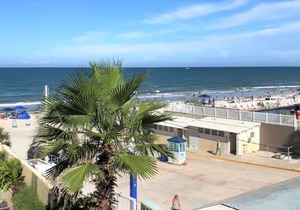 Ocean View Studio! Best Location on the Beach!