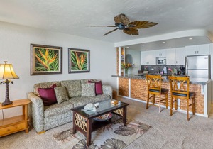 OCEANFRONT 1 Bdrm Condo next to the water! Air conditioned - Kaleialoha 209