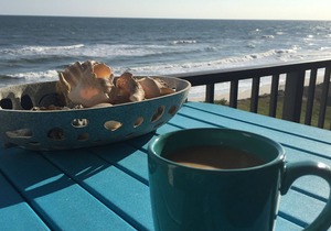 Oceanfront-Best Views Of The Beach-New Smyrna Beach-3/2