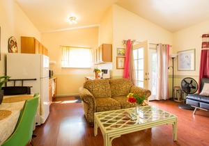 Oceanfront cottage w/AC @ Kehena Beach, Hawaii