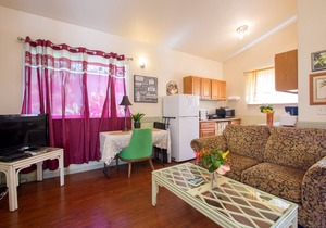 Oceanfront cottage w/AC @ Kehena Beach, Hawaii