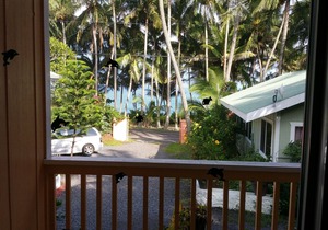 Oceanfront cottage w/AC @ Kehena Beach, Hawaii