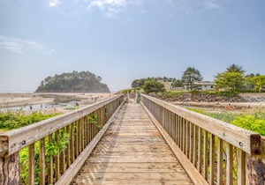 Oceanfront Studio Condo in Neskowin Resort