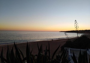 Olival Beach Apartment