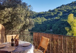 Olive Grove Apartment with *Large Heated Pool*