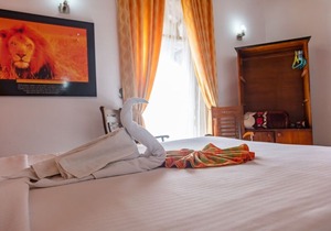 Olive Park Villas - Deluxe Suite 3